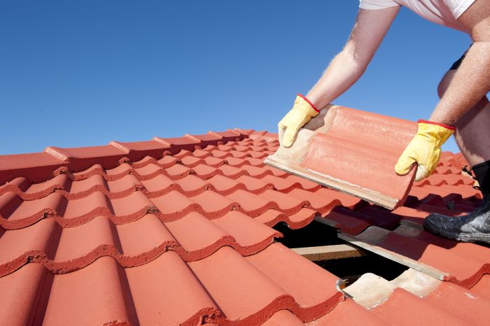 Roof Leak Repair Cost in Allen