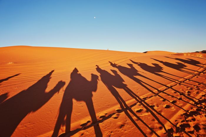 essential Tips for Morocco Tours from Marrakech